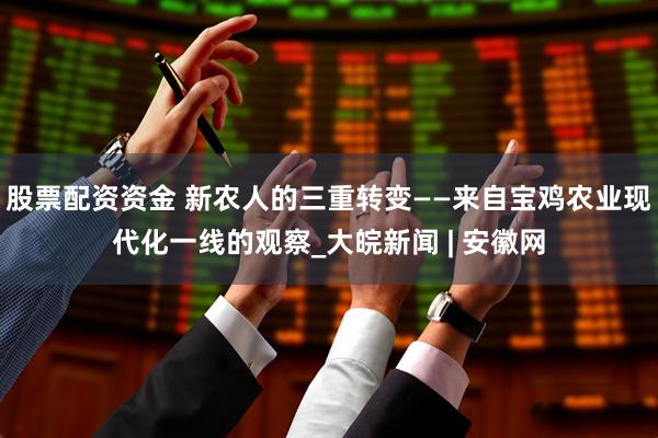 股票配资资金 新农人的三重转变——来自宝鸡农业现代化一线的观察_大皖新闻 | 安徽网
