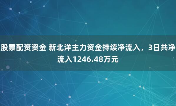 股票配资资金 新北洋主力资金持续净流入，3日共净流入1246.48万元