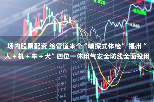 场内股票配资 给管道来个“嗅探式体检” 福州“人＋机＋车＋犬”四位一体用气安全防线全面投用
