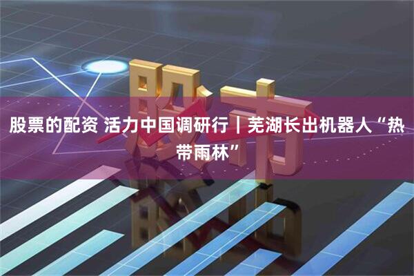 股票的配资 活力中国调研行｜芜湖长出机器人“热带雨林”